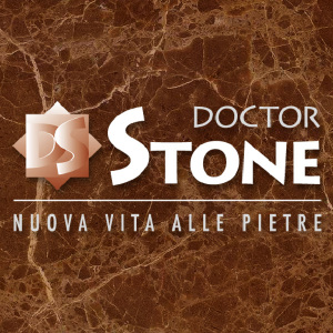 Dr Stone Logo PROFILO